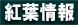 仁田峠紅葉情報状況